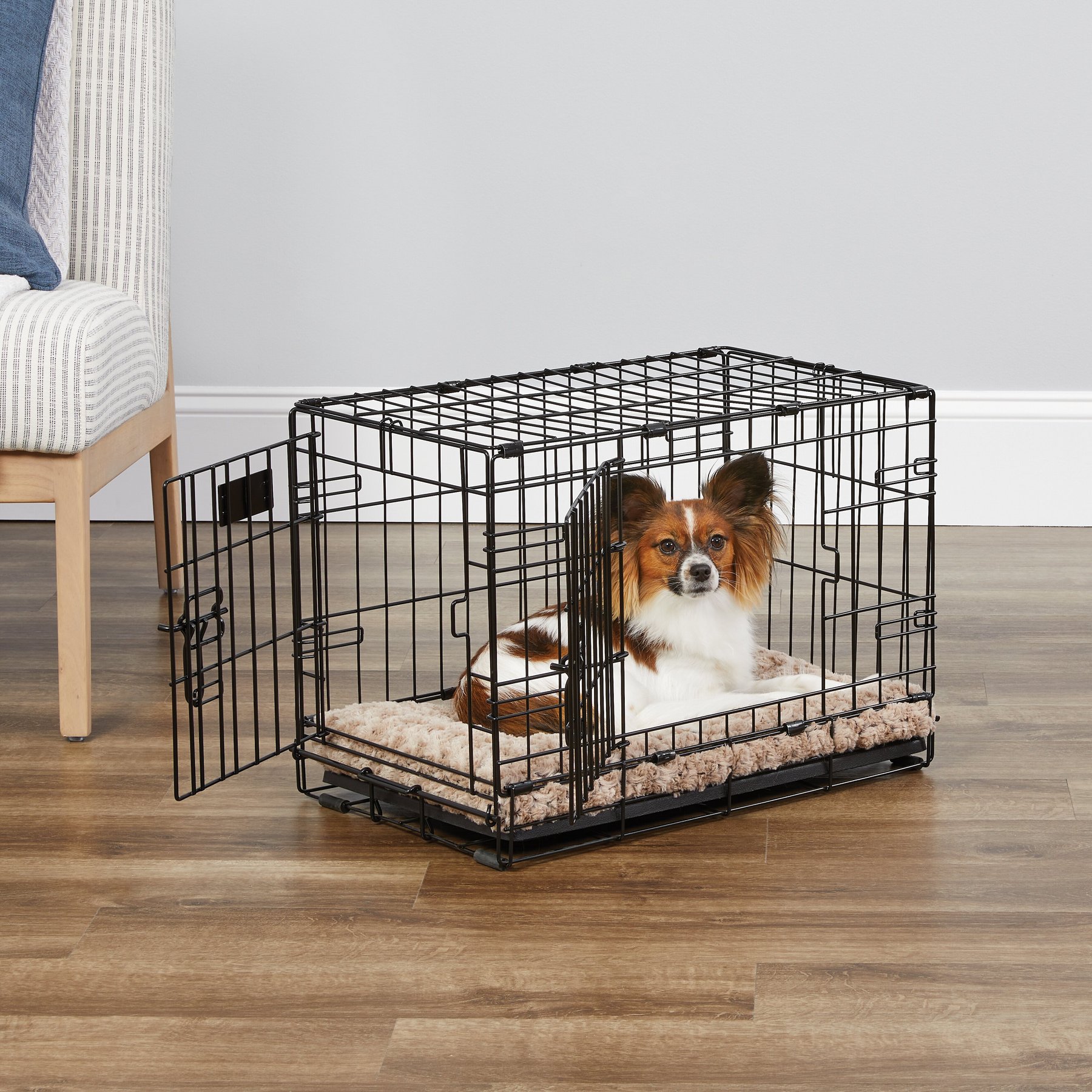 MidWest iCrate Double Door Fold & Carry Dog Crate, 22-in, 1 to 12-lbs