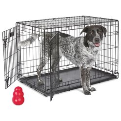 MidWest iCrate Fold & Carry Double Door Collapsible Wire Dog Crate, 36 inch + KONG Classic Dog Toy, Large slide 1 of 9