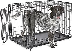 MidWest iCrate Fold & Carry Double Door Collapsible Wire Dog Crate, 36 inch + KONG Classic Dog Toy, Large slide 2 of 9