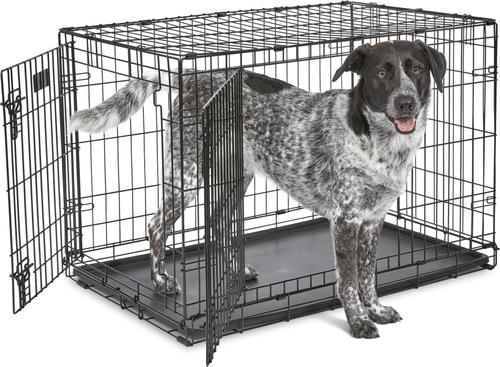 Show full view: MidWest iCrate Fold & Carry Double Door Collapsible Wire Dog Crate, 36 inch + KONG Classic Dog Toy, Large slide 2 of 9