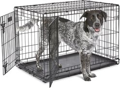 MidWest iCrate Fold & Carry Double Door Collapsible Wire Dog Crate, 36 inch slide 2 of 9