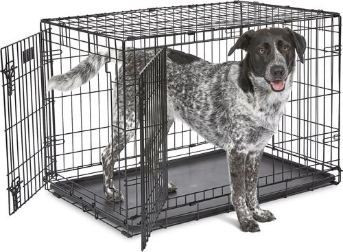 Show full view: MidWest iCrate Fold & Carry Double Door Collapsible Wire Dog Crate, 36 inch slide 2 of 12