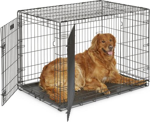 Show full view: MidWest iCrate Fold & Carry Double Door Collapsible Wire Dog Crate, 42 inch + KONG Classic Dog Toy, Large slide 2 of 9