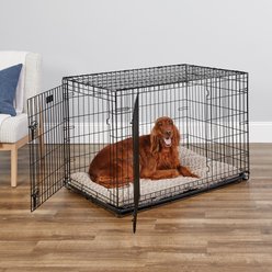 MidWest iCrate Fold & Carry Double Door Collapsible Wire Dog Crate, 42 inch