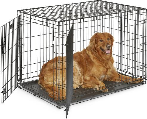Show full view: MidWest iCrate Fold & Carry Double Door Collapsible Wire Dog Crate, 42 inch slide 2 of 12