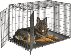 MidWest iCrate Fold & Carry Double Door Collapsible Wire Dog Crate, 48 inch slide 2 of 9