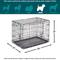 Show in main carousel: MidWest iCrate Fold & Carry Double Door Collapsible Wire Dog Crate + KONG Classic Dog Toy, Medium slide 3 of 9