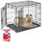 Show in main carousel: MidWest iCrate Fold & Carry Double Door Collapsible Wire Dog Crate + KONG Classic Dog Toy, Small slide 1 of 9