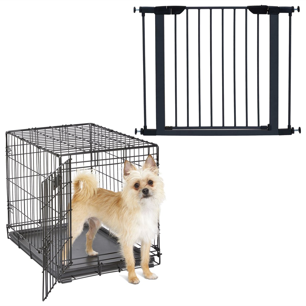 MidWest iCrate Fold & Carry Single Door Collapsible Dog Crate, 24 inch + Steel Pet Gate, Graphite, 29-in