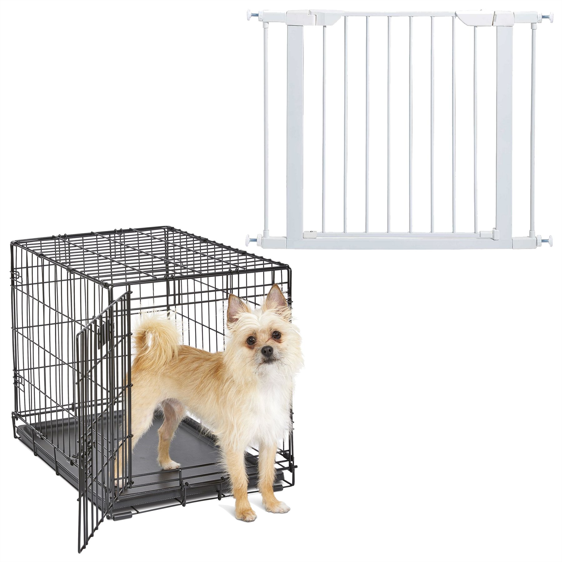 MidWest iCrate Fold & Carry Single Door Collapsible Dog Crate, 24 inch + Steel Pet Gate, White, 29-in