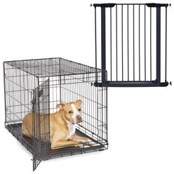 MidWest iCrate Fold & Carry Single Door Collapsible Dog Crate, 36 inch + Steel Pet Gate, Graphite, 39-in
