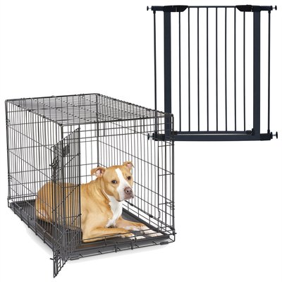 MidWest iCrate Fold & Carry Single Door Collapsible Dog Crate, 36 inch + Steel Pet Gate, Graphite, 39-in