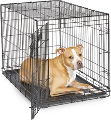 MidWest iCrate Fold & Carry Single Door Collapsible Dog Crate, 36 inch + Steel Pet Gate, White, 39-in slide 2 of 9