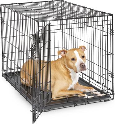 Show full view: MidWest iCrate Fold & Carry Single Door Collapsible Dog Crate, 36 inch + Steel Pet Gate, White, 39-in slide 2 of 9