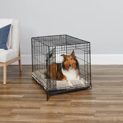 Show full view: MidWest iCrate Fold & Carry Single Door Collapsible Dog Crate, 36 inch + Steel Pet Gate, White, 39-in slide 3 of 9
