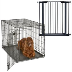 MidWest iCrate Fold & Carry Single Door Collapsible Dog Crate, 42 inch + Steel Pet Gate, Graphite, 39-in