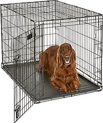 MidWest iCrate Fold & Carry Single Door Collapsible Dog Crate, 42 inch + Steel Pet Gate, Graphite, 39-in slide 2 of 9