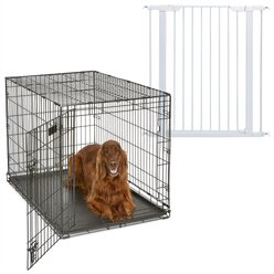 MidWest iCrate Fold & Carry Single Door Collapsible Dog Crate, 42 inch + Steel Pet Gate, White, 39-in