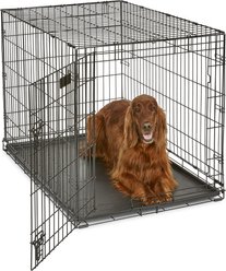 MidWest iCrate Fold & Carry Single Door Collapsible Dog Crate, 42 inch + Steel Pet Gate, White, 39-in slide 2 of 9