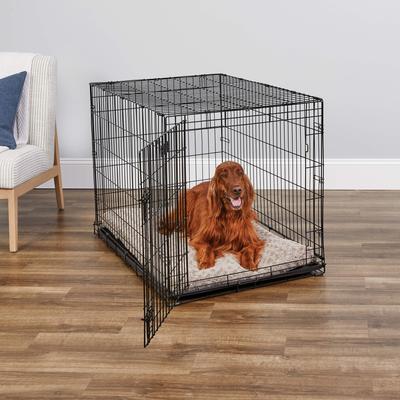 Show full view: MidWest iCrate Fold & Carry Single Door Collapsible Dog Crate, 42 inch + Steel Pet Gate, White, 39-in slide 3 of 9