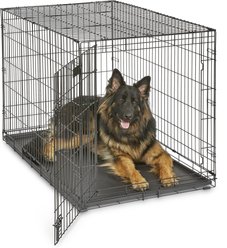 MidWest iCrate Fold & Carry Single Door Collapsible Dog Crate, 48 inch + Steel Pet Gate, Graphite, 39-in slide 2 of 9