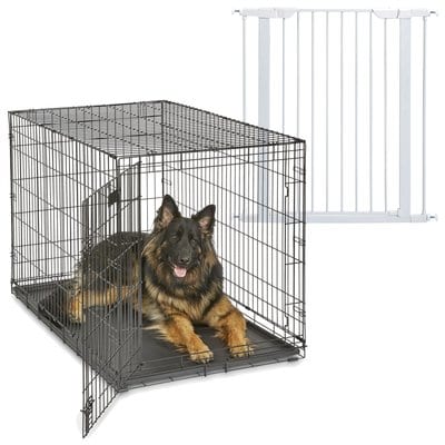 MidWest MidWest iCrate Fold & Carry Single Door Collapsible Dog Crate, 48 inch + Steel Pet Gate, White, 39-in