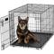 Show in main carousel: MidWest iCrate Fold & Carry Single Door Collapsible Wire Crate, 36 inch + Quiet Time Ombre Swirl Dog Crate Mat, Grey, 36-in slide 2 of 10