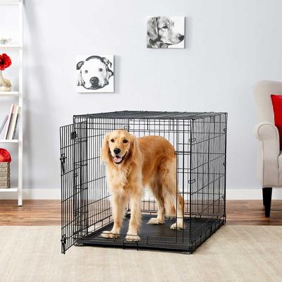 Show full view: MidWest iCrate Fold & Carry Single Door Collapsible Wire Crate, 42 inch + Quiet Time Ombre Swirl Dog Crate Mat, Grey, 42-in slide 5 of 10