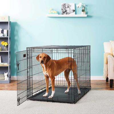 Show full view: MidWest iCrate Fold & Carry Single Door Collapsible Wire Crate, 48 inch + Quiet Time Ombre Swirl Dog Crate Mat, Grey, 48-in slide 5 of 10