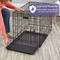 Show in main carousel: MidWest iCrate Fold & Carry Single Door Collapsible Wire Dog Crate, 18 inch slide 5 of 12