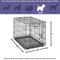 Show in main carousel: MidWest iCrate Fold & Carry Single Door Collapsible Wire Dog Crate, 30 inch slide 8 of 12