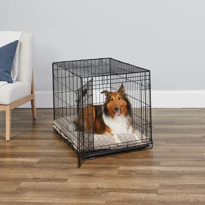 MidWest iCrate Fold & Carry Single Door Collapsible Wire Dog Crate