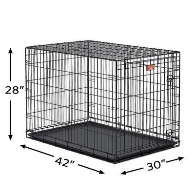 Show full view: MidWest iCrate Fold & Carry Single Door Collapsible Wire Dog Crate, 42 inch slide 9 of 12