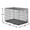Show in main carousel: MidWest iCrate Fold & Carry Single Door Collapsible Wire Dog Crate, 48 inch slide 9 of 12