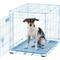 Show in main carousel: MidWest iCrate Single Door Collapsible Wire Dog Crate, Blue, 24 inch slide 4 of 12