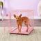 Show in main carousel: MidWest iCrate Single Door Collapsible Wire Dog Crate, Pink, 24 inch slide 1 of 12