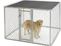 MidWest K9 Steel Chain Link Portable Outdoor Dog Kennel, 6-ft wide slide 1 of 5