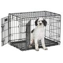 MidWest LifeStages Double Door Collapsible Wire Dog Crate, 30 inch