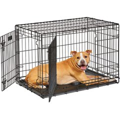 MidWest LifeStages Double Door Collapsible Wire Dog Crate, 36 inch