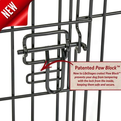 Show full view: MidWest LifeStages Double Door Collapsible Wire Dog Crate, 36 inch slide 5 of 12