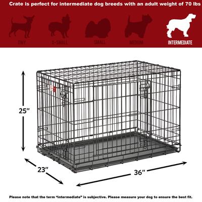 Show full view: MidWest LifeStages Double Door Collapsible Wire Dog Crate, 36 inch slide 8 of 12