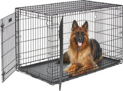 MidWest LifeStages Double Door Collapsible Wire Dog Crate, 48 inch