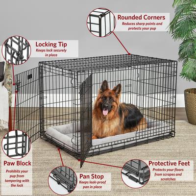 Show full view: MidWest LifeStages Double Door Collapsible Wire Dog Crate, 48 inch slide 3 of 13