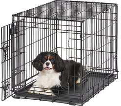 MidWest LifeStages Single Door Collapsible Wire Dog Crate, 30 inch