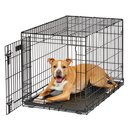 MidWest LifeStages Single Door Collapsible Wire Dog Crate, 36 inch