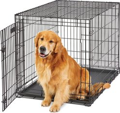 MidWest LifeStages Single Door Collapsible Wire Dog Crate, 42 inch