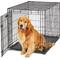 Show in main carousel: MidWest LifeStages Single Door Collapsible Wire Dog Crate, 42 inch slide 1 of 11