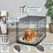 Show in main carousel: MidWest LifeStages Single Door Collapsible Wire Dog Crate, 42 inch slide 2 of 11