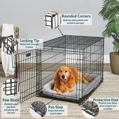 Show full view: MidWest LifeStages Single Door Collapsible Wire Dog Crate, 42 inch slide 2 of 11