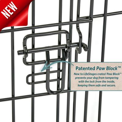 Show full view: MidWest LifeStages Single Door Collapsible Wire Dog Crate, 42 inch slide 5 of 11